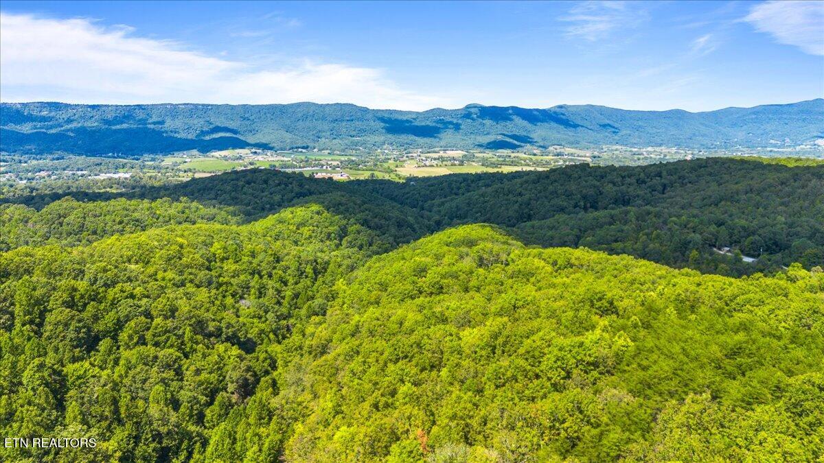 Bethel Lane, LaFollette