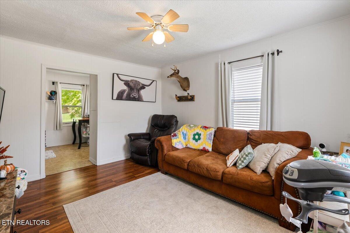 411 E Chestnut St, LaFollette