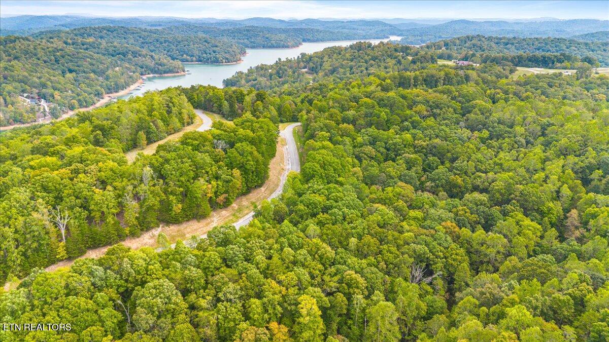 Lot 125 Old Hearth Drive, LaFollette
