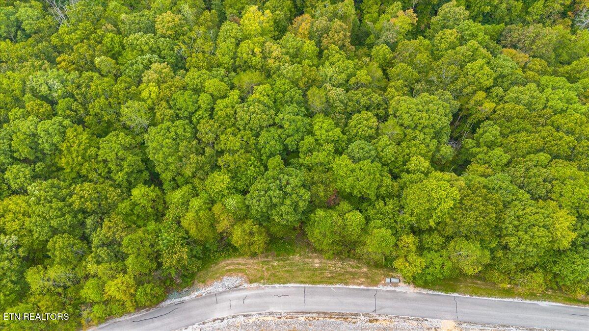 Lot 125 Old Hearth Drive, LaFollette