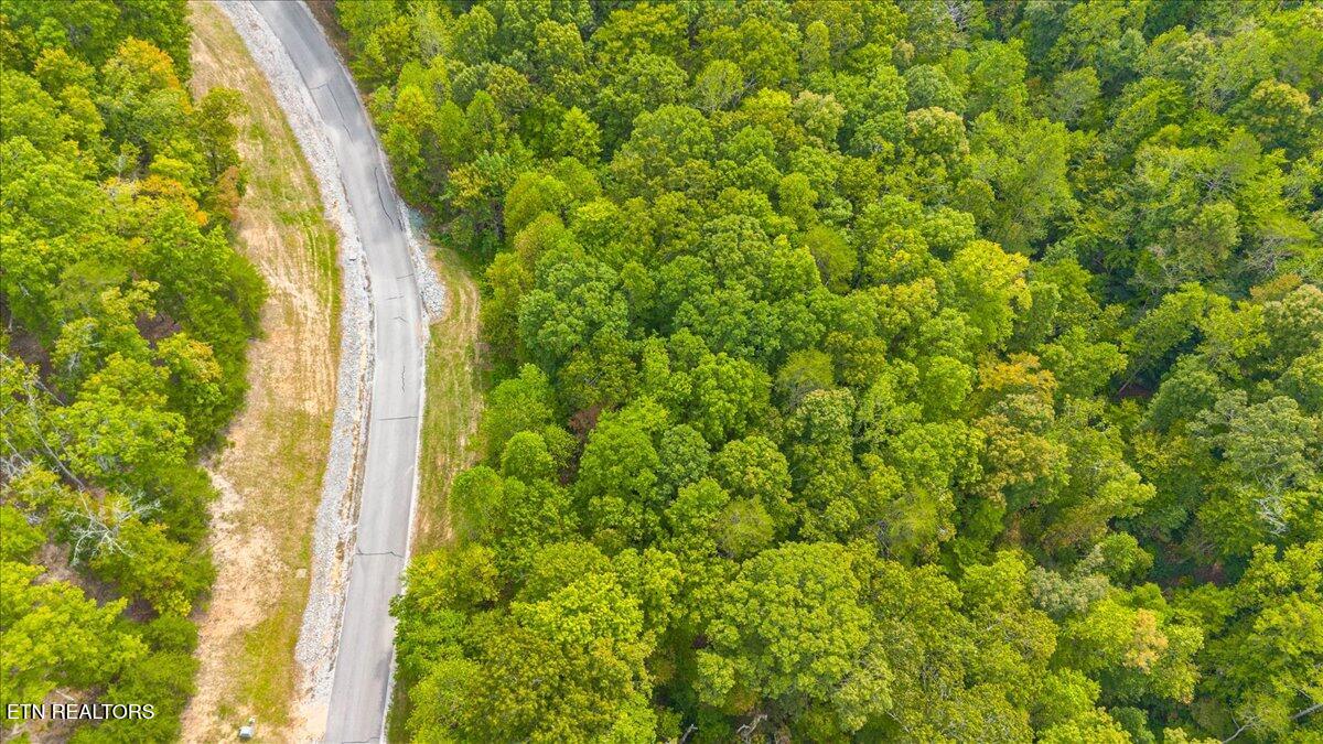 Lot 125 Old Hearth Drive, LaFollette