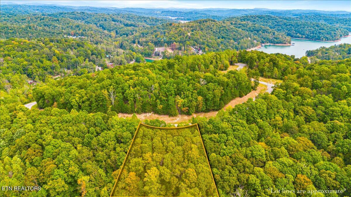 Lot 125 Old Hearth Drive, LaFollette