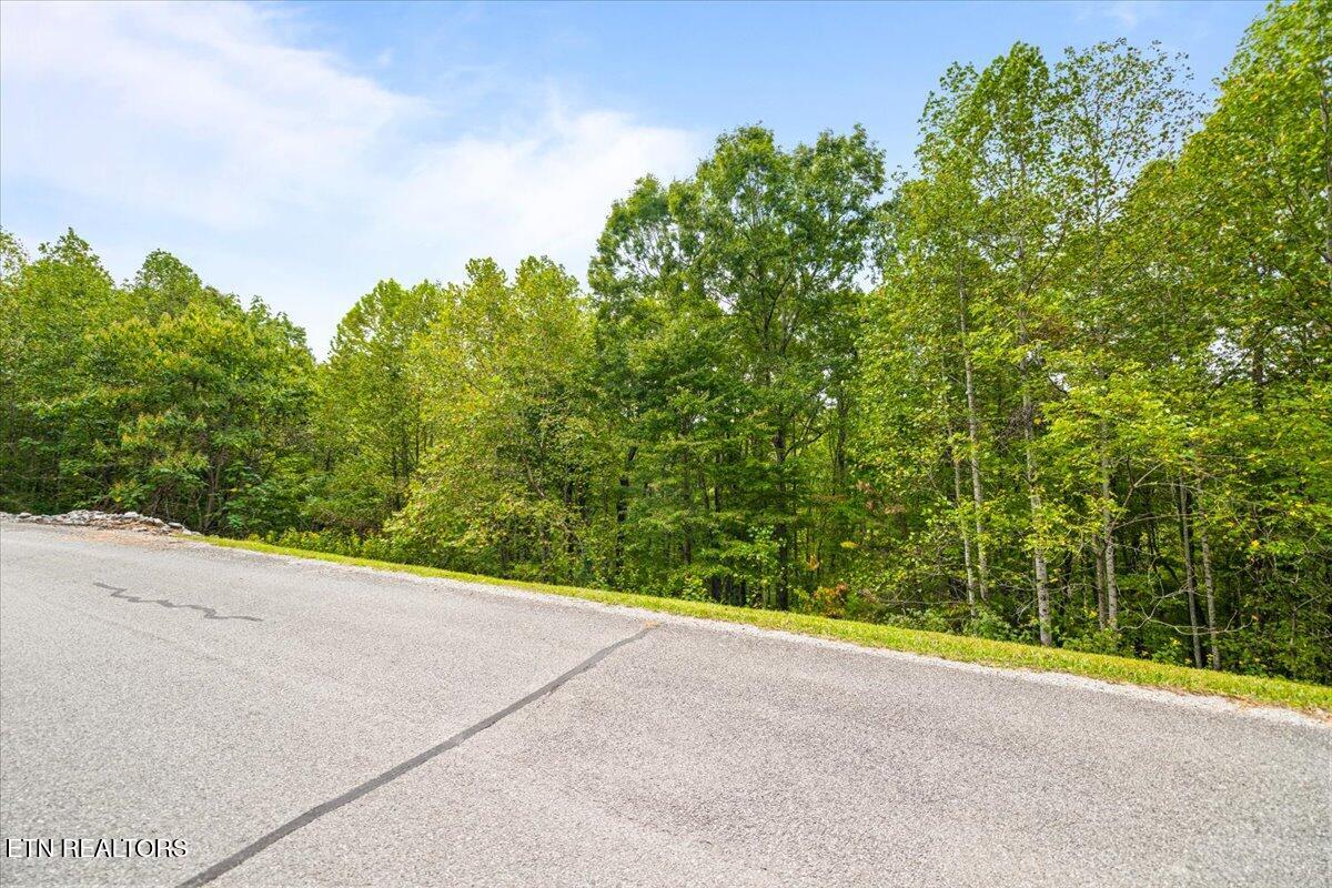Lot 125 Old Hearth Drive, LaFollette