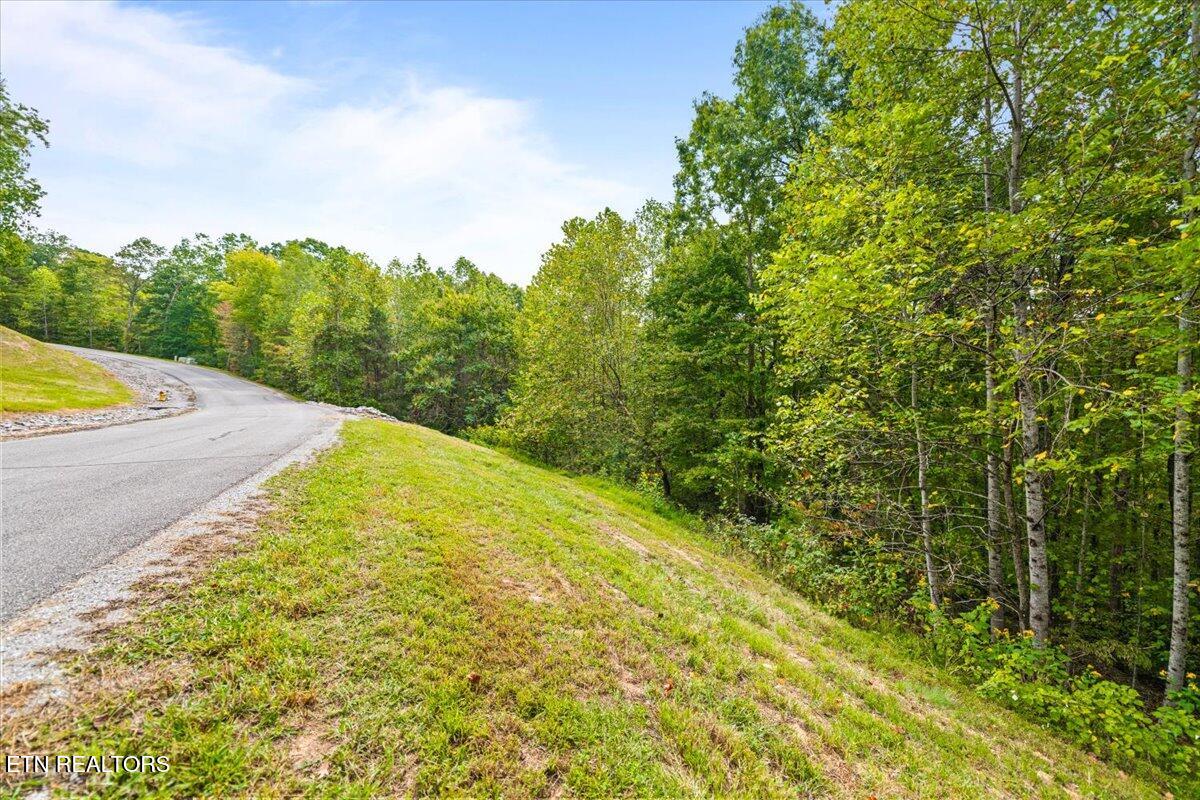 Lot 125 Old Hearth Drive, LaFollette