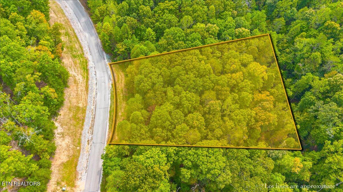 Lot 125 Old Hearth Drive, LaFollette