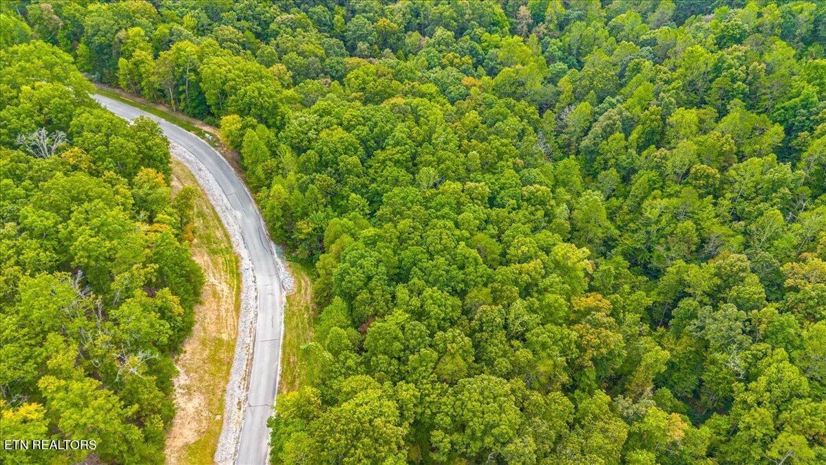 Lot 125 Old Hearth Drive, LaFollette