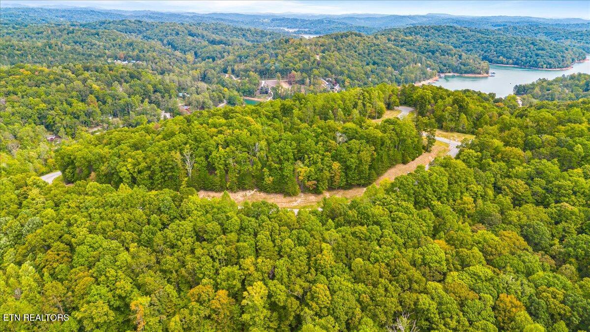 Lot 125 Old Hearth Drive, LaFollette