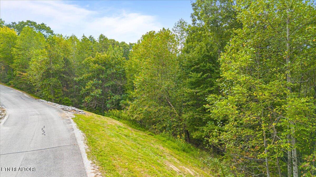 Lot 125 Old Hearth Drive, LaFollette