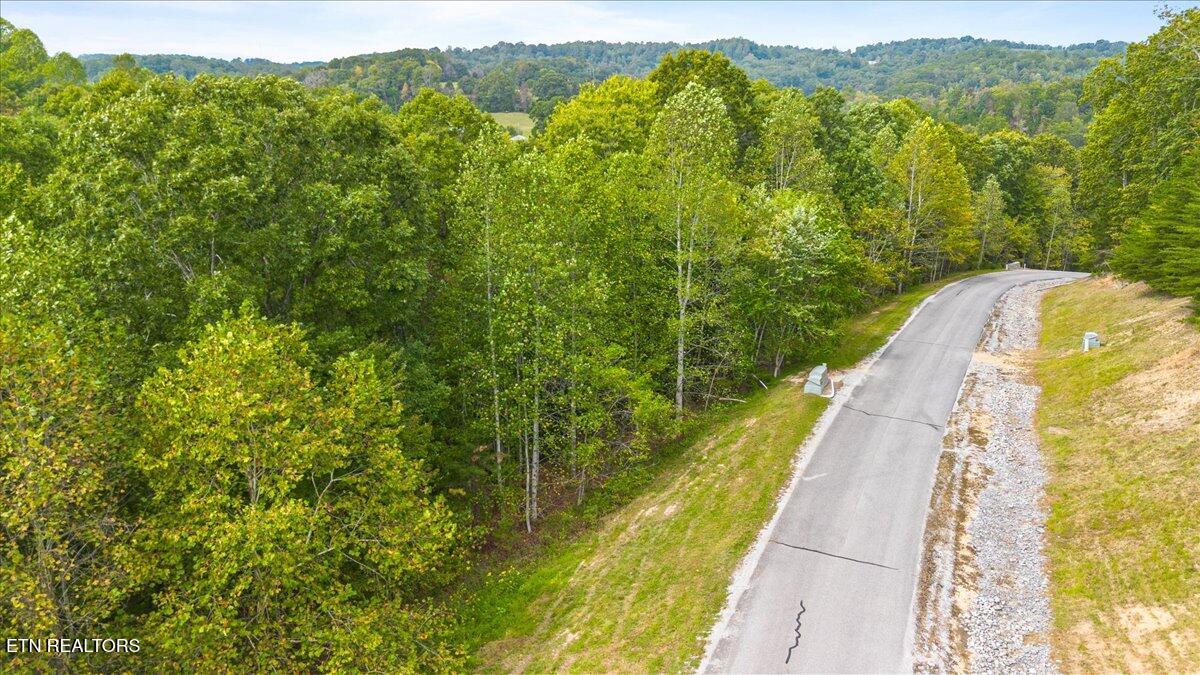 Lot 125 Old Hearth Drive, LaFollette