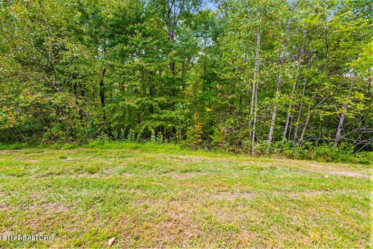 Lot 125 Old Hearth Drive, LaFollette