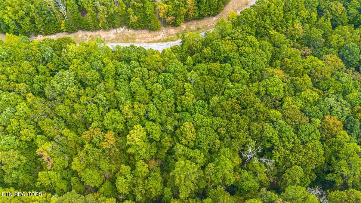 Lot 125 Old Hearth Drive, LaFollette