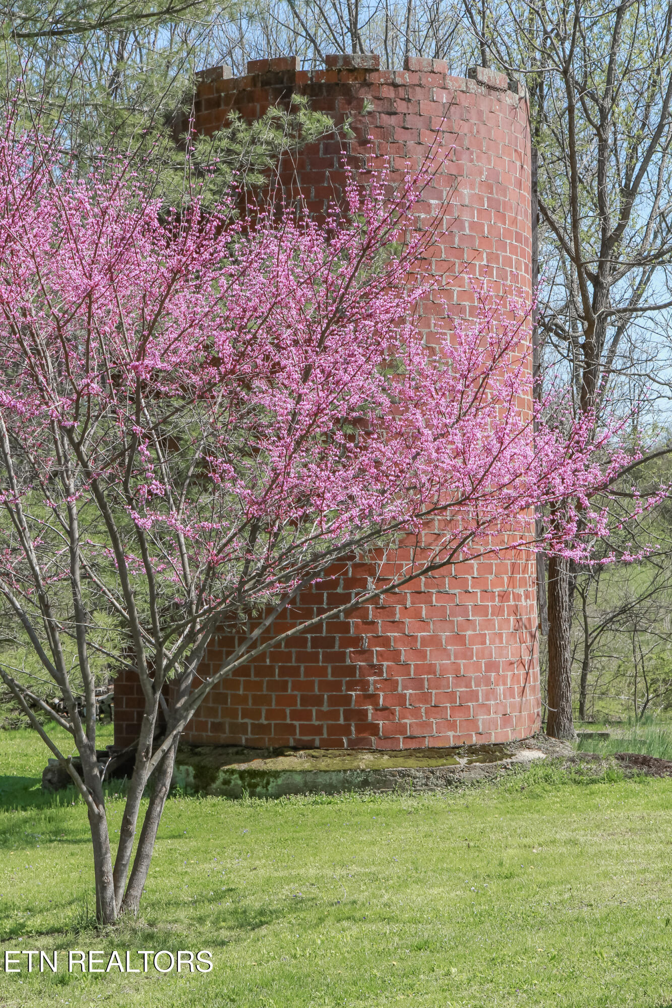 502 Middlesboro Rd, LaFollette