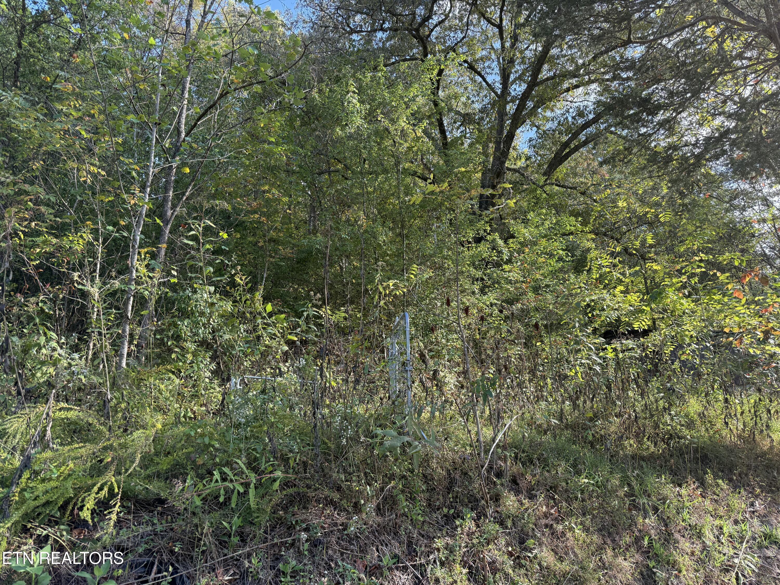 1971 Demory Rd, LaFollette