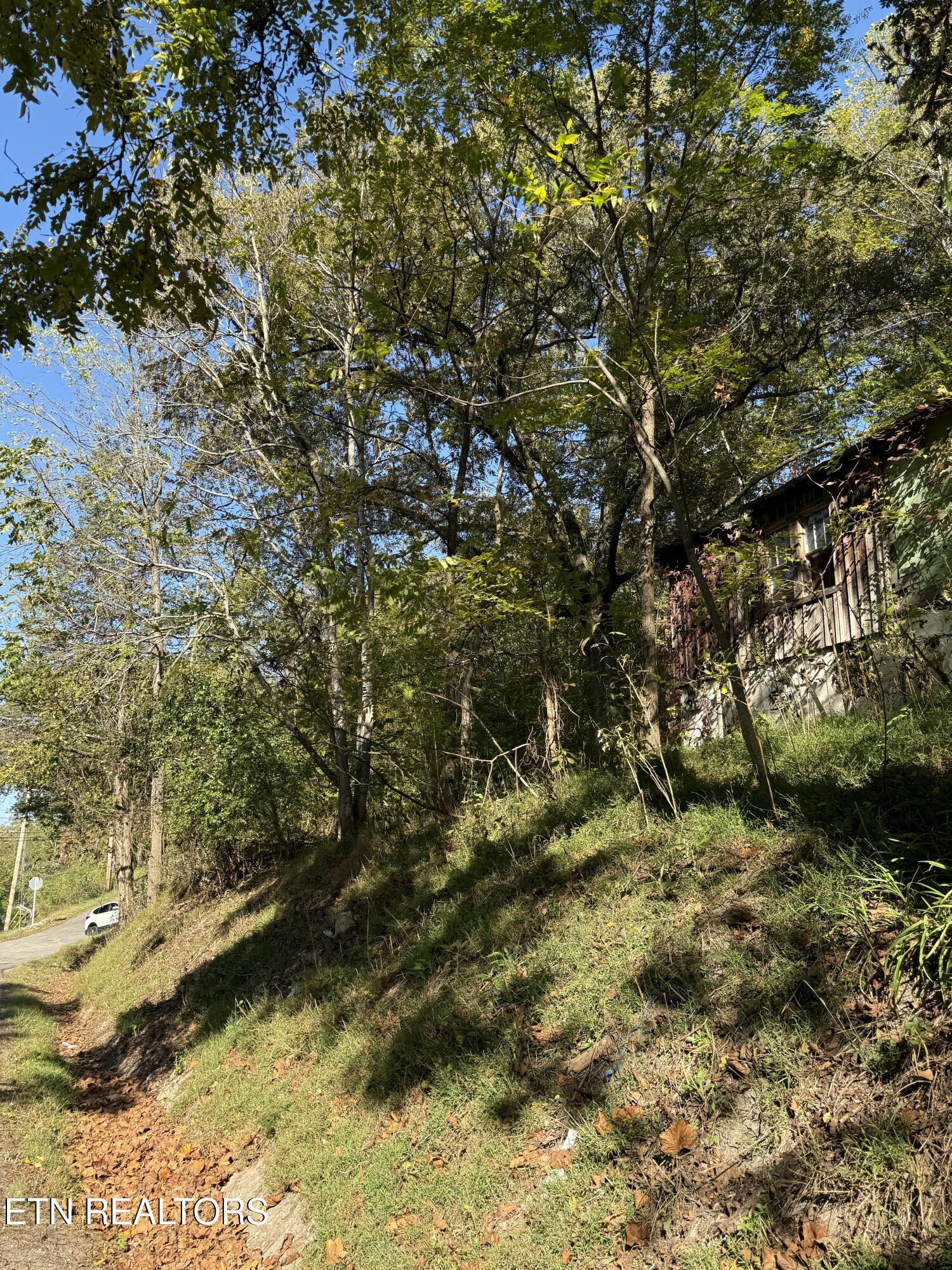 1971 Demory Rd, LaFollette