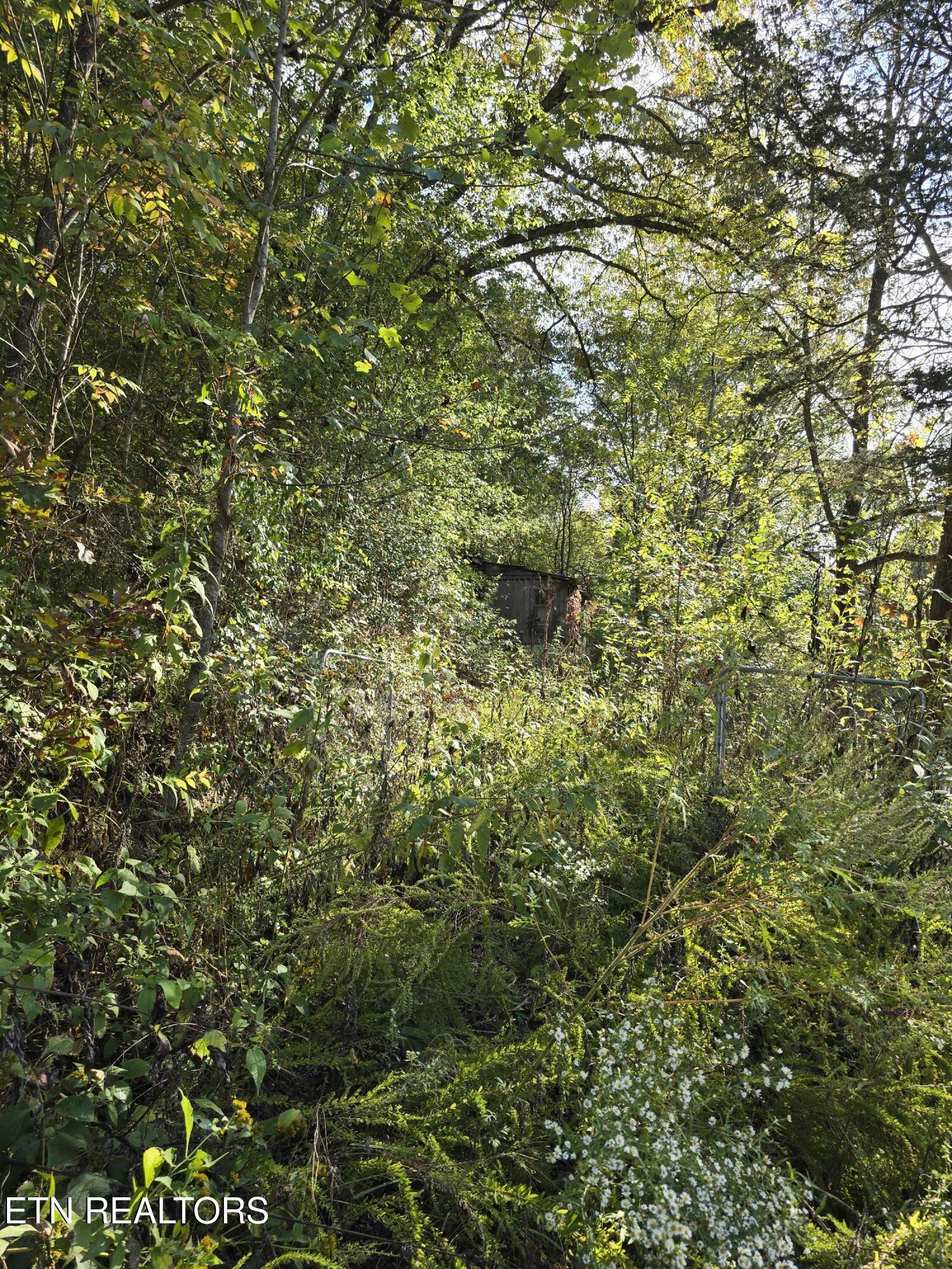 1971 Demory Rd, LaFollette