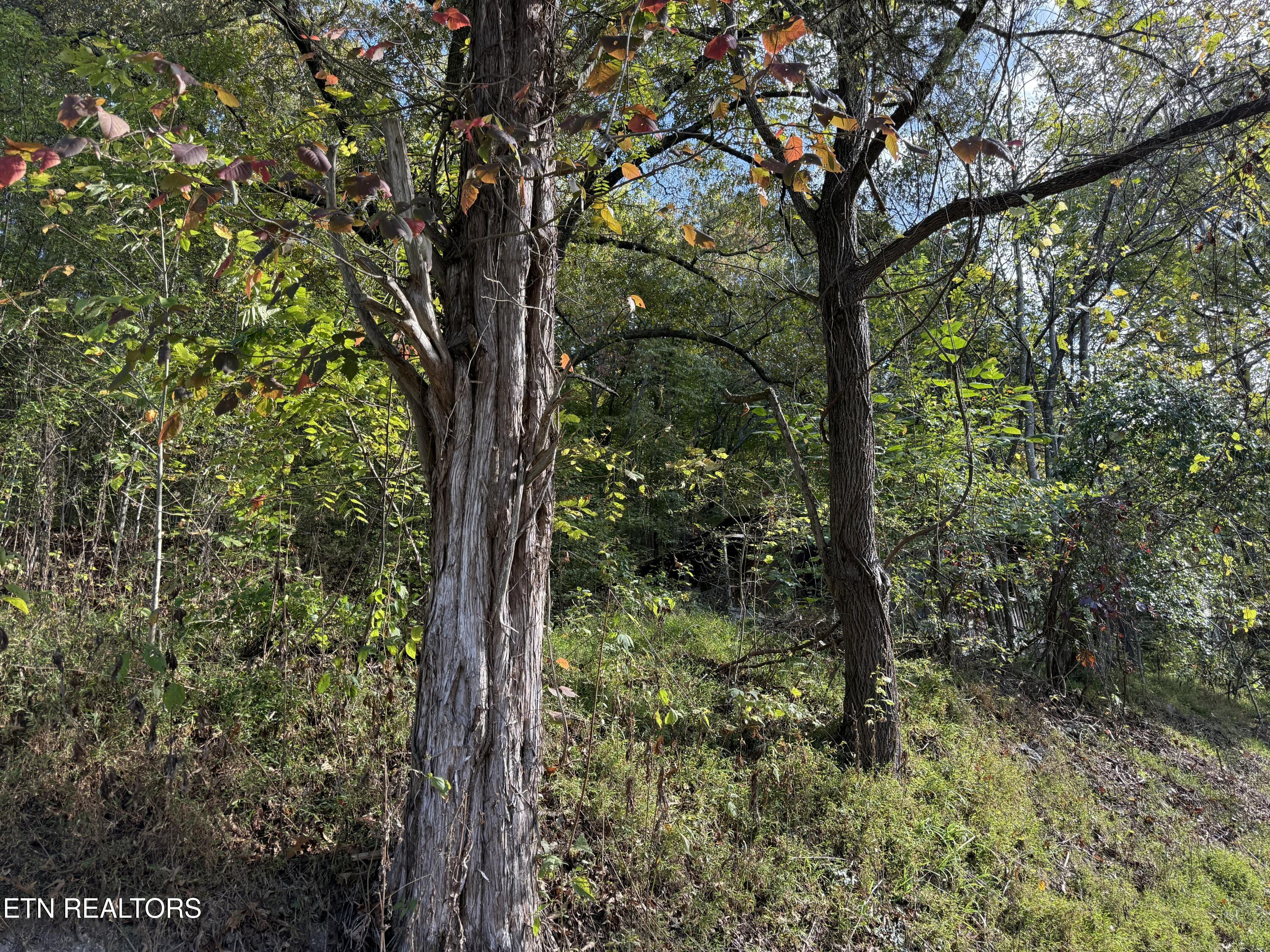 1971 Demory Rd, LaFollette