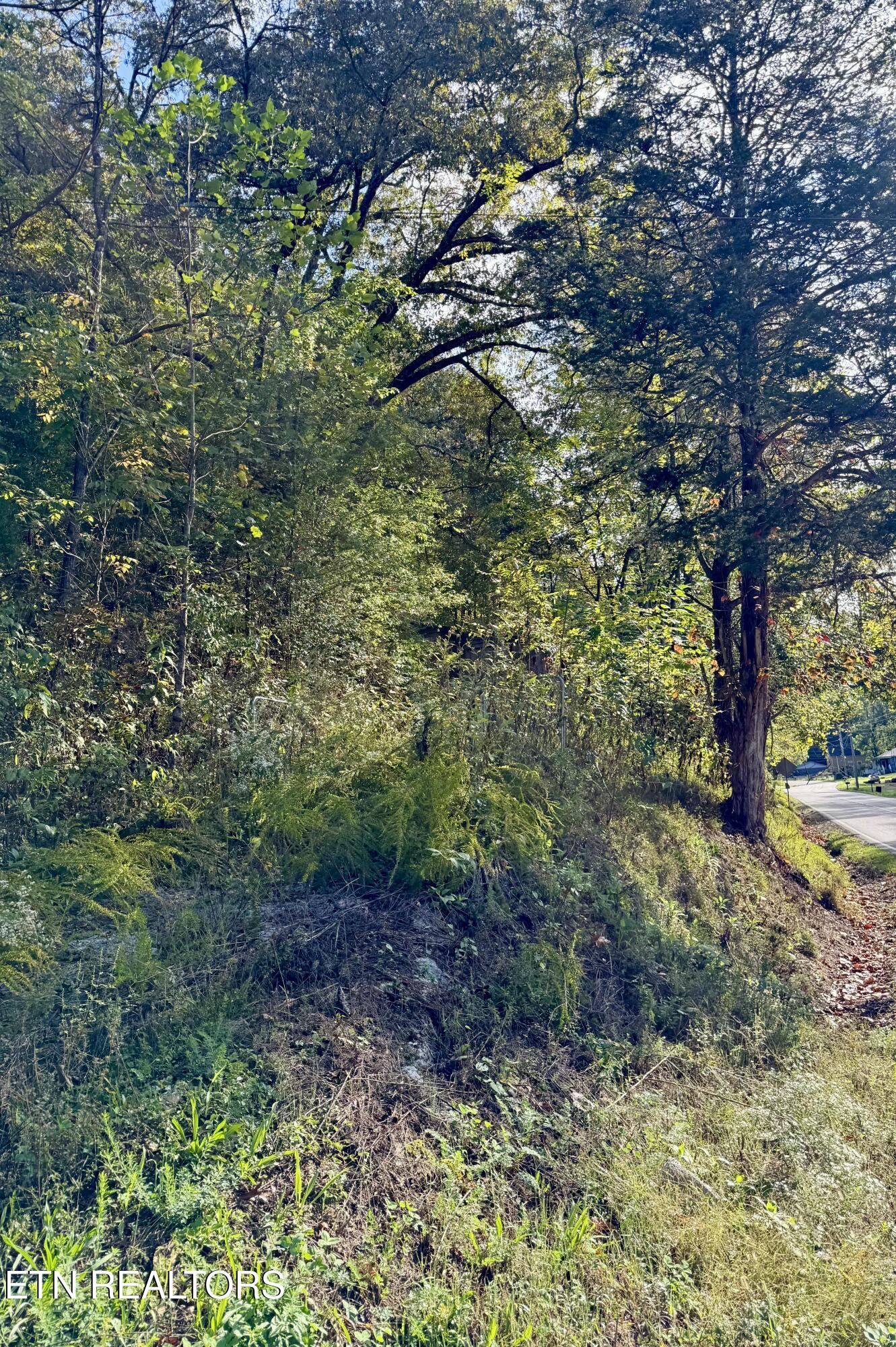 1971 Demory Rd, LaFollette