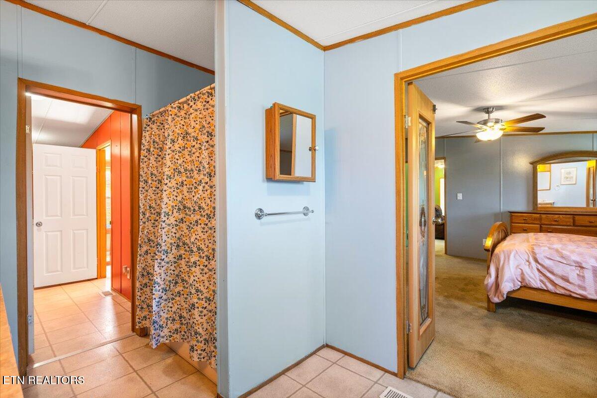 114 Myrtle Vinsant Lane, Jacksboro