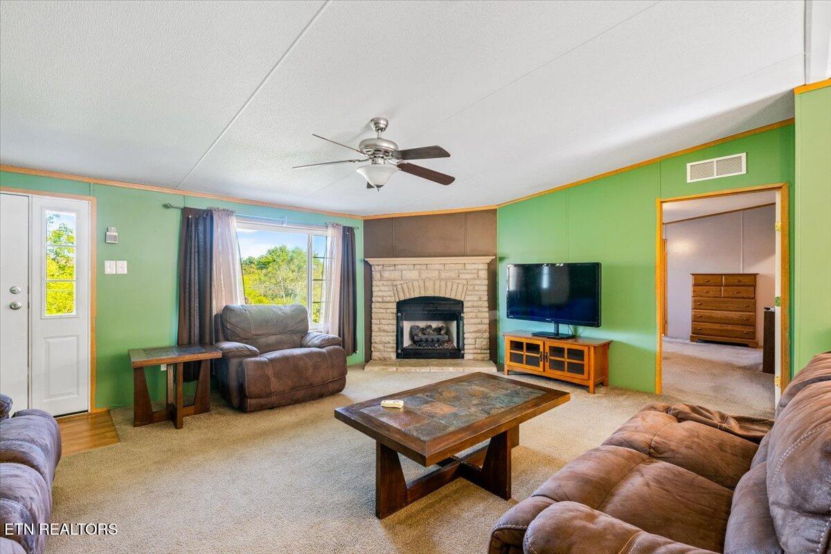 114 Myrtle Vinsant Lane, Jacksboro