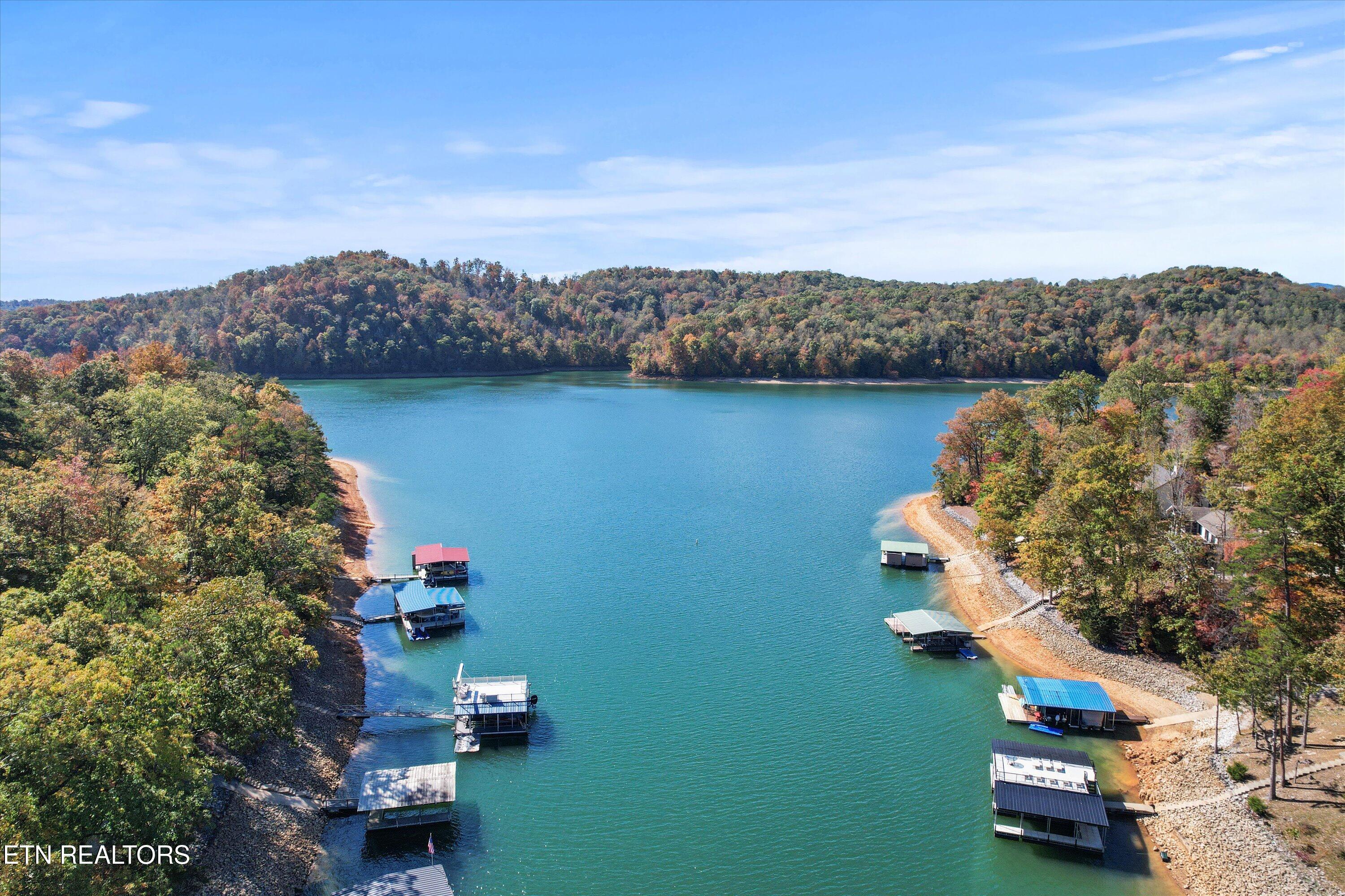 1305 Cove Pointe Rd, LaFollette