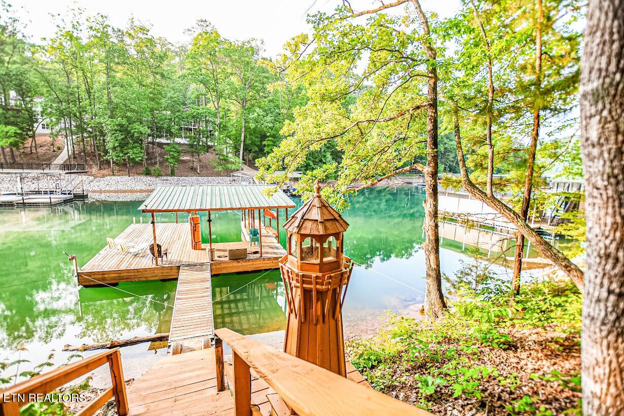 1305 Cove Pointe Rd, LaFollette