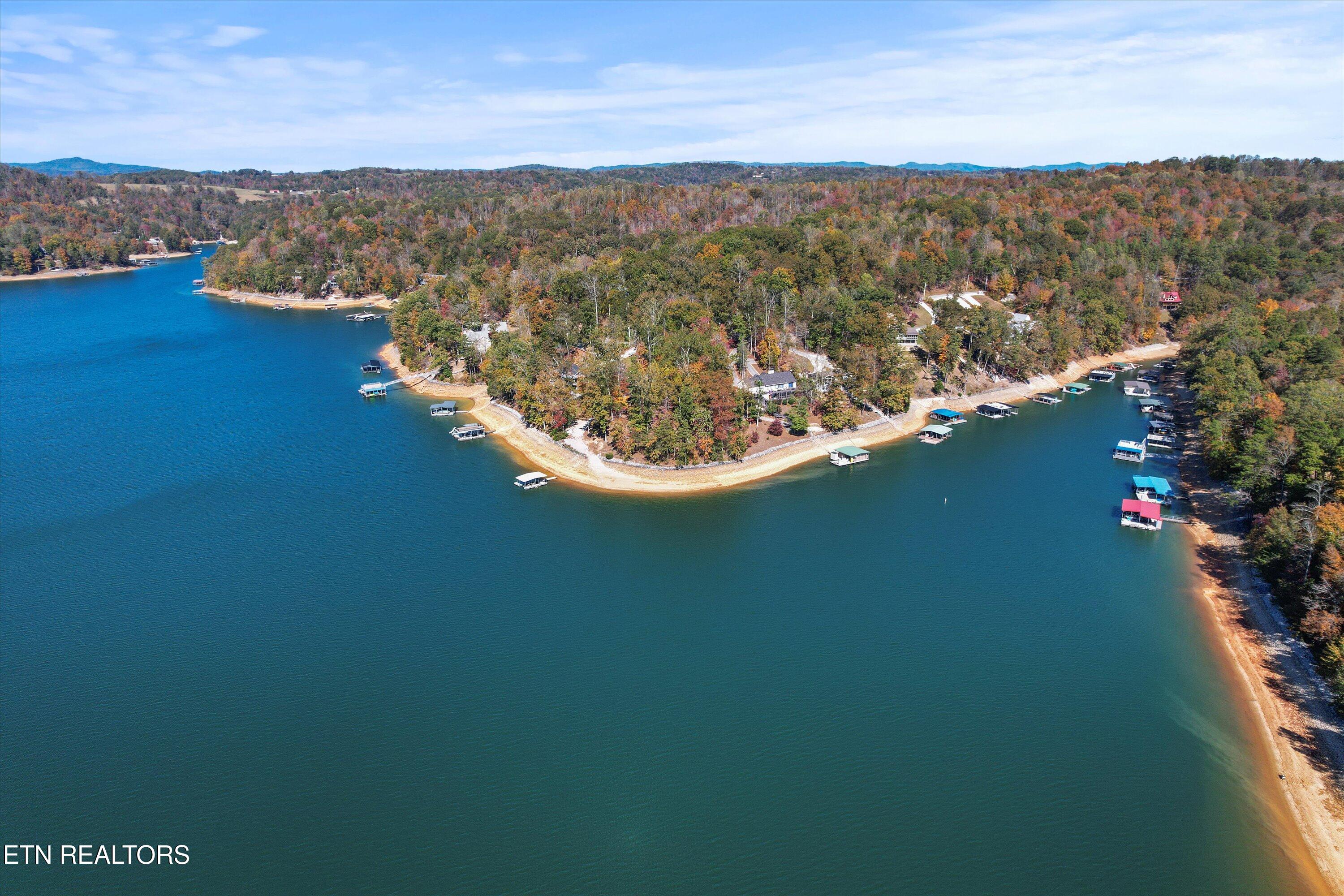 1305 Cove Pointe Rd, LaFollette