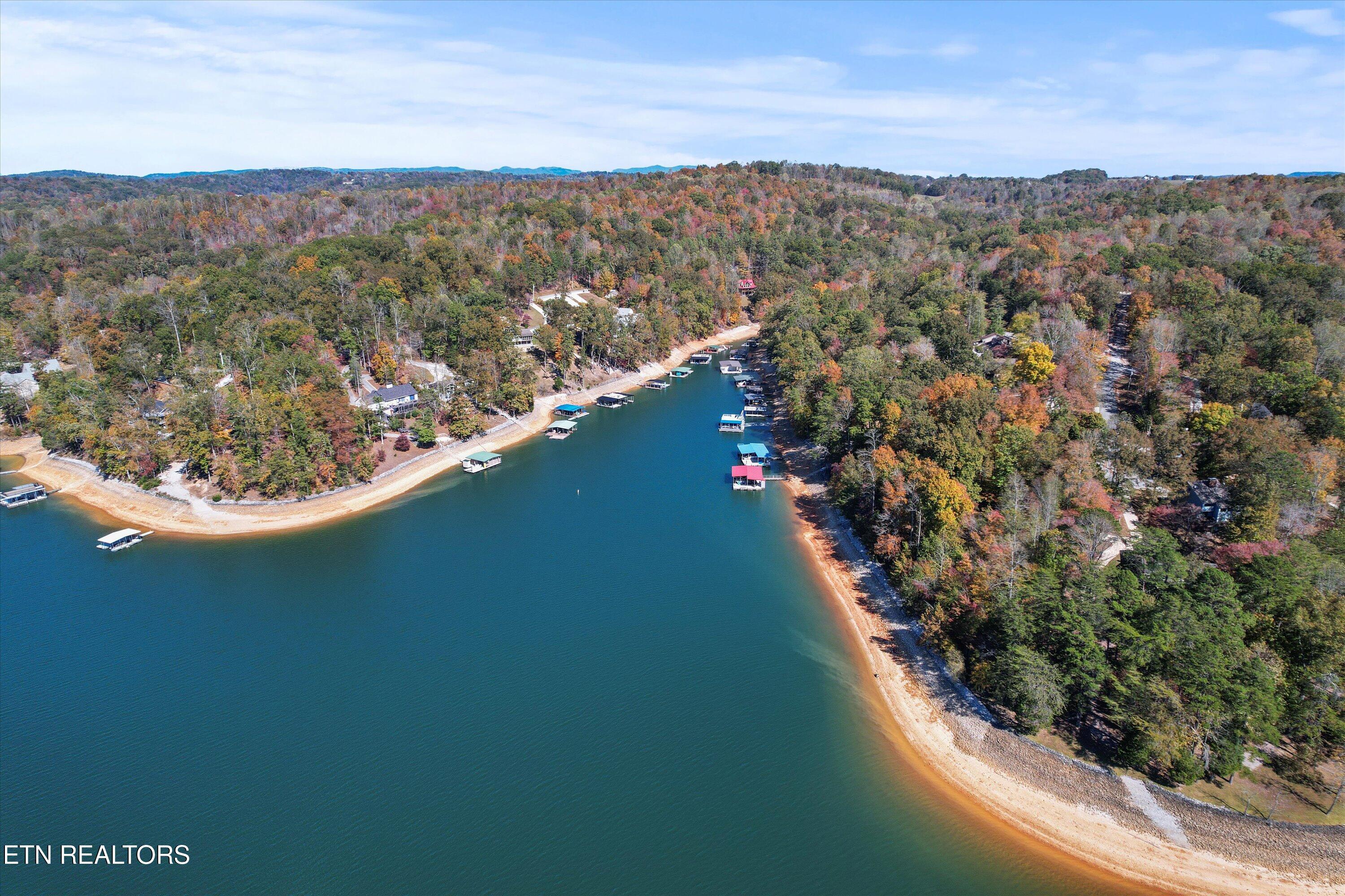 1305 Cove Pointe Rd, LaFollette
