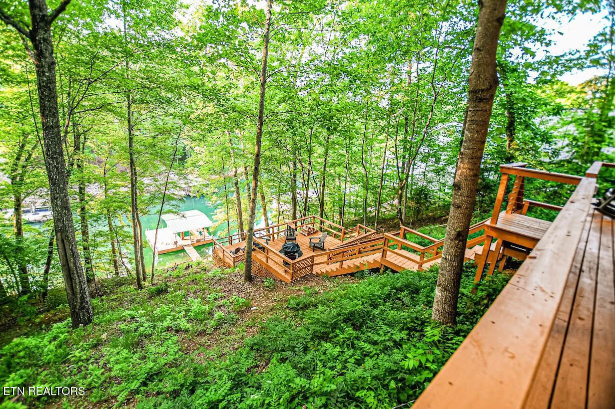 1305 Cove Pointe Rd, LaFollette