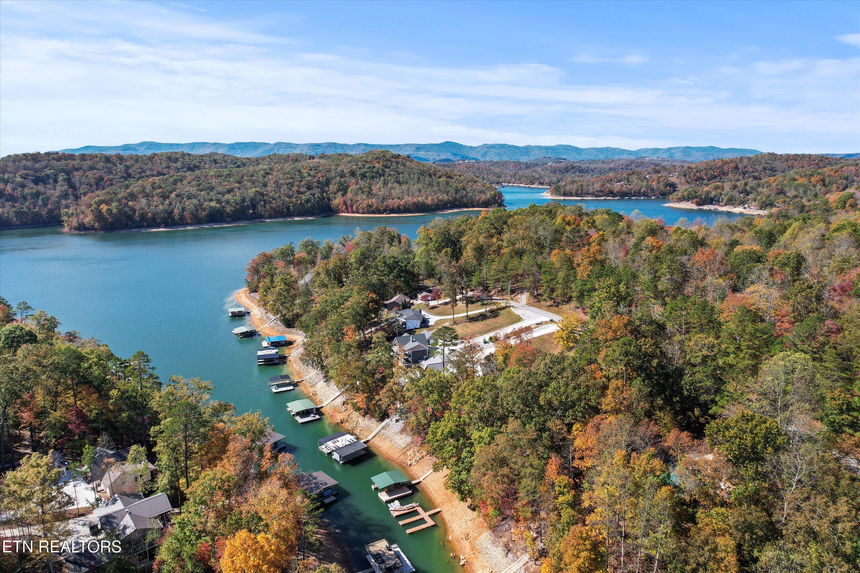 1305 Cove Pointe Rd, LaFollette