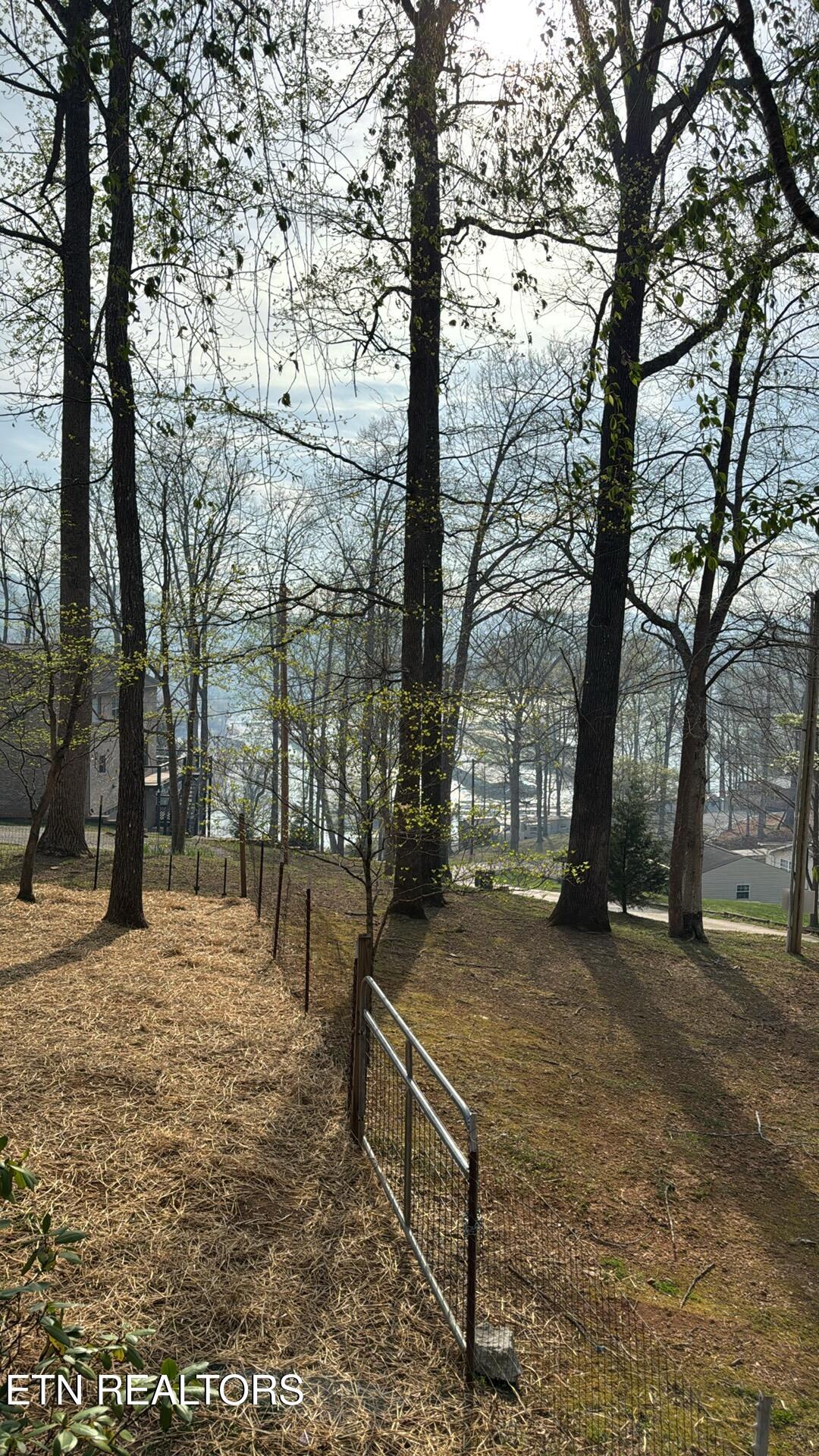 247 Lake View Lane