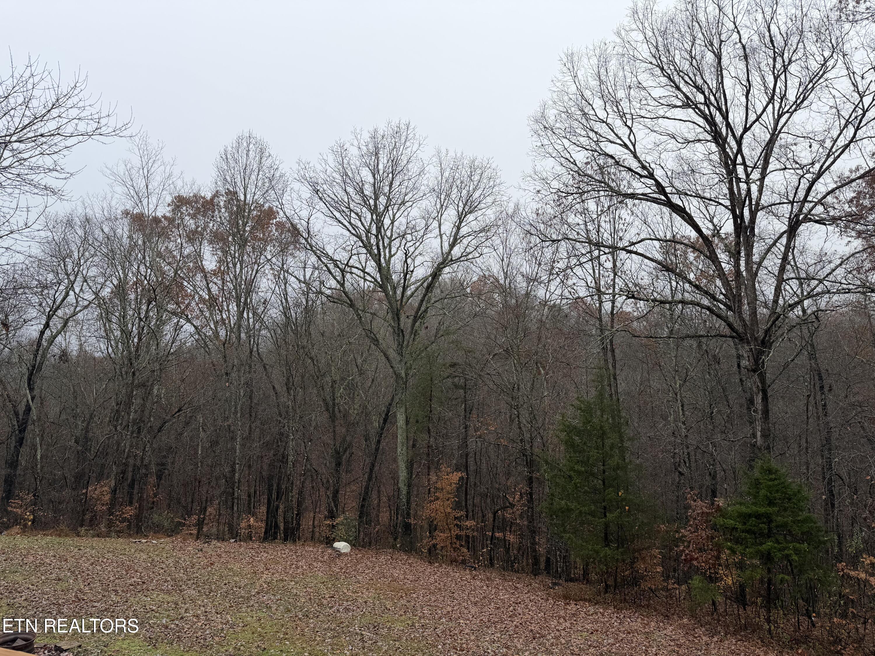 152 Country Way Drive, LaFollette