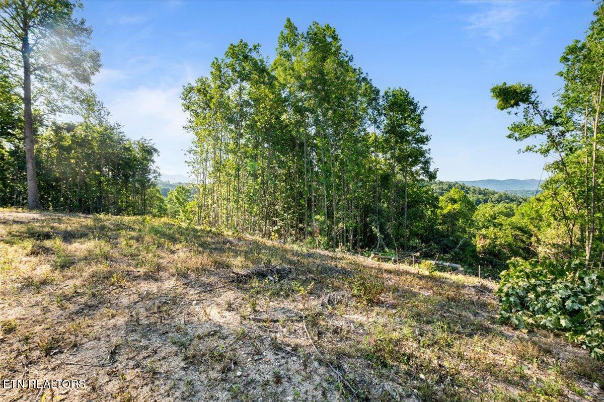 281 Red Oak Circle