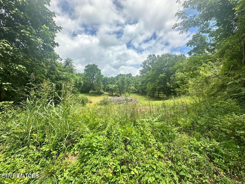 1123 Pleasant Ridge Rd, LaFollette