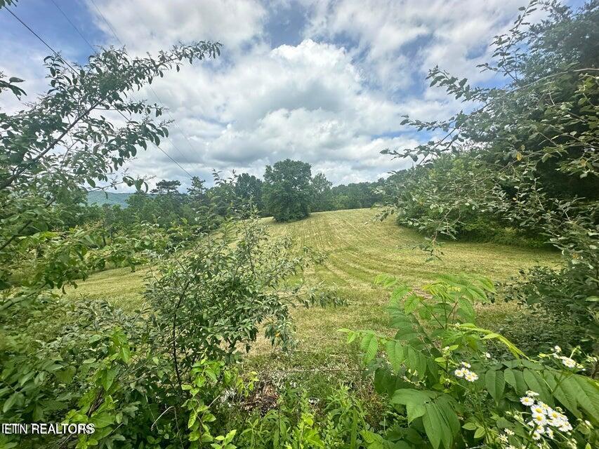 1123 Pleasant Ridge Rd, LaFollette