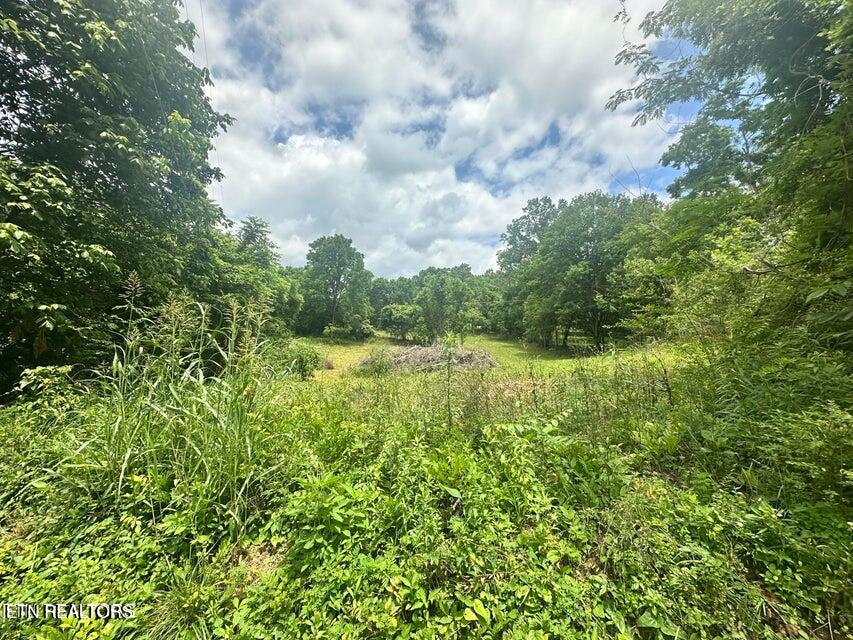 1123 Pleasant Ridge Rd, LaFollette