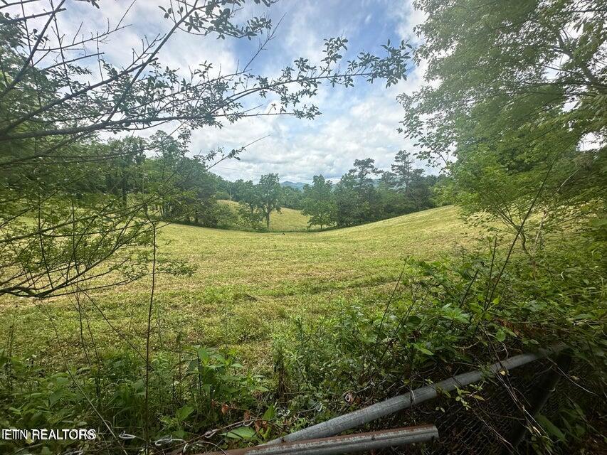 1123 Pleasant Ridge Rd, LaFollette