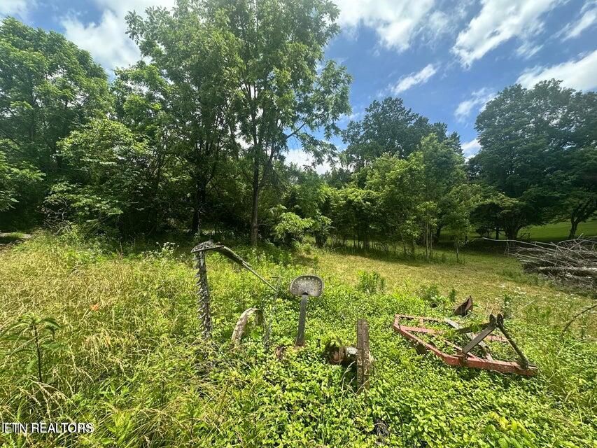 1123 Pleasant Ridge Rd, LaFollette