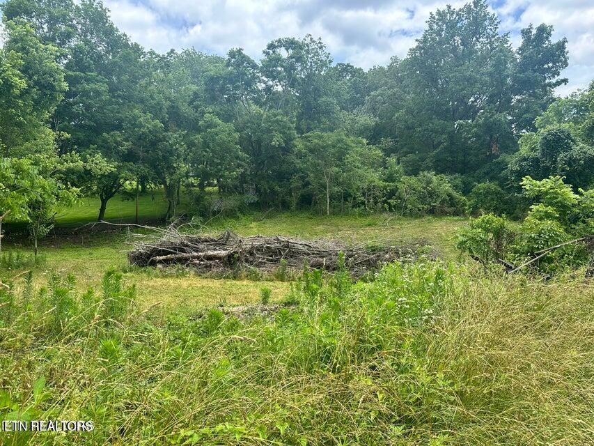 1123 Pleasant Ridge Rd, LaFollette