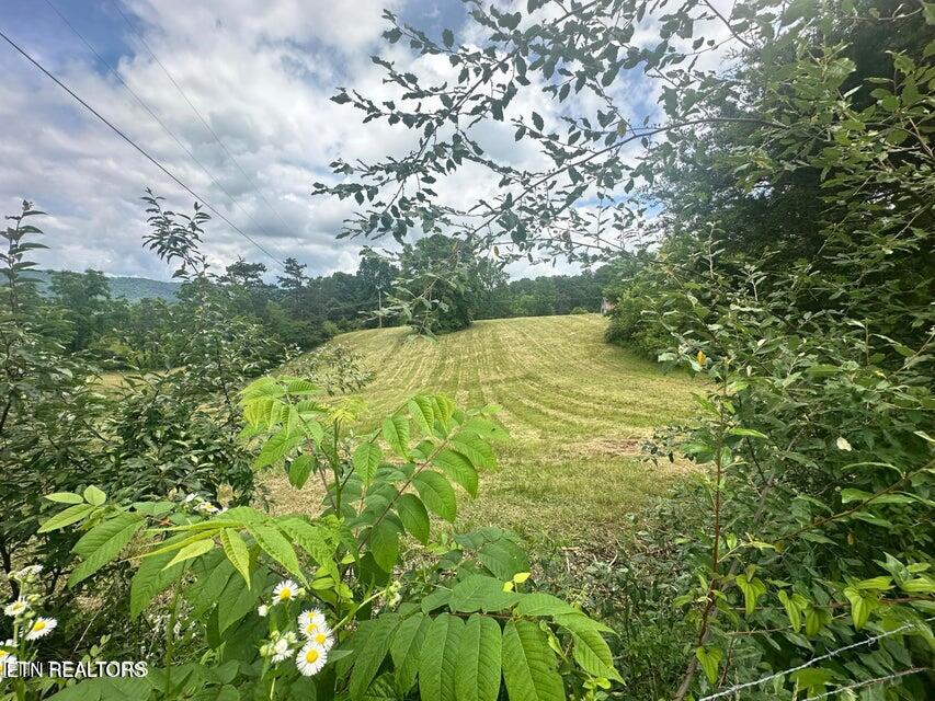 1123 Pleasant Ridge Rd, LaFollette