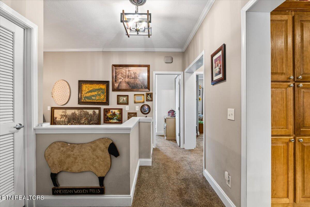 1048 Deerfield Way, LaFollette