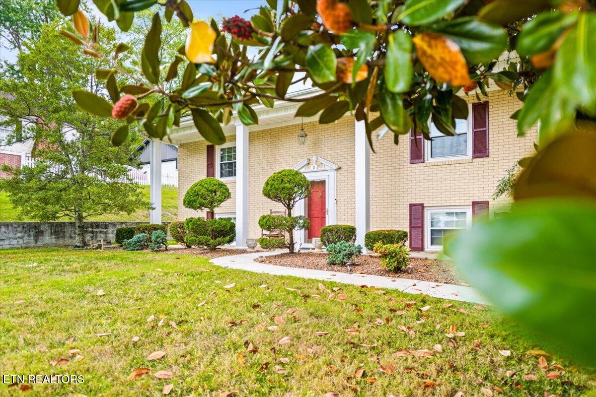 301 Wheeler Lane, LaFollette