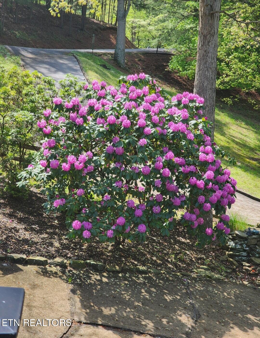 639 Deerwood Lane, LaFollette