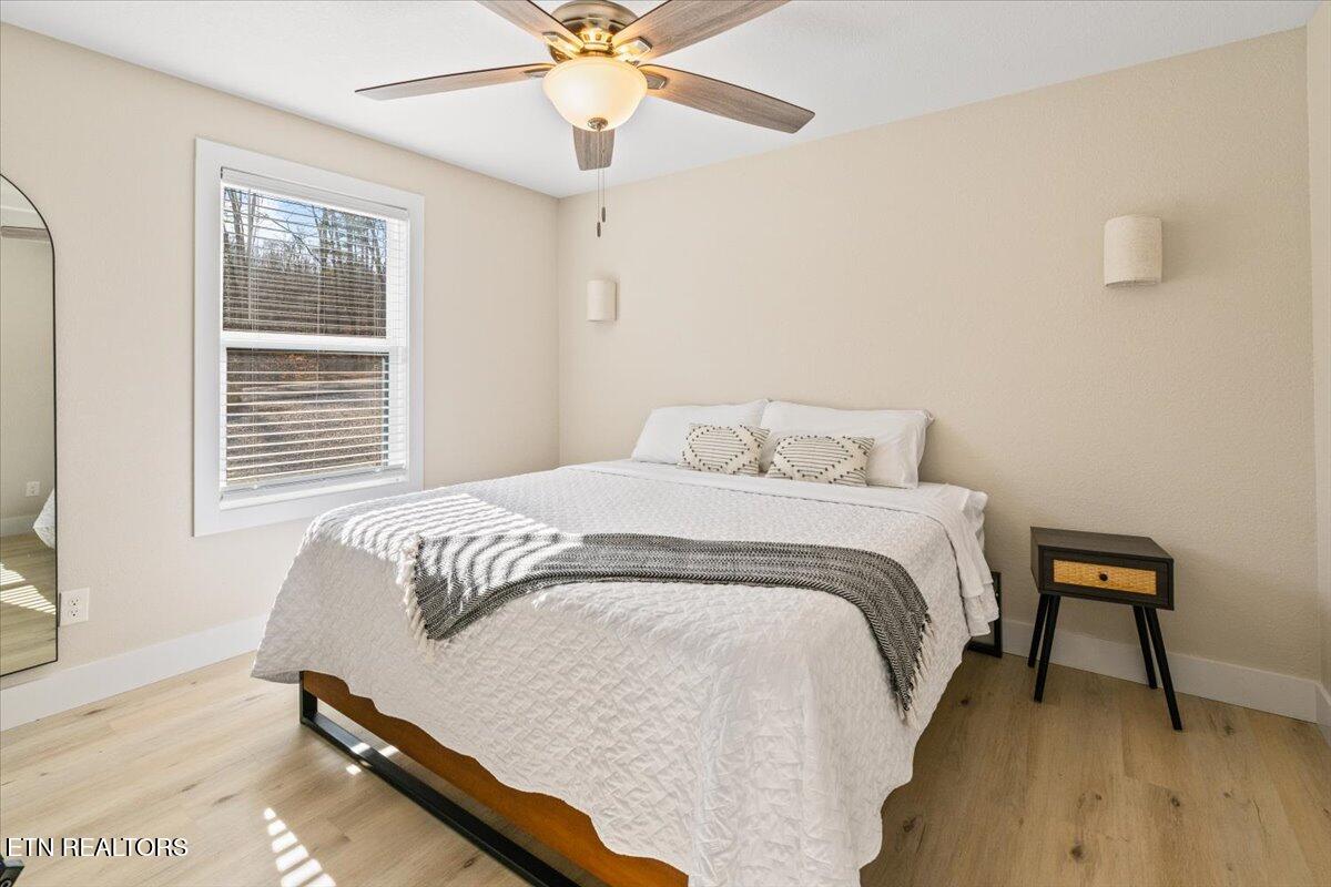 113 Pool Drive, LaFollette