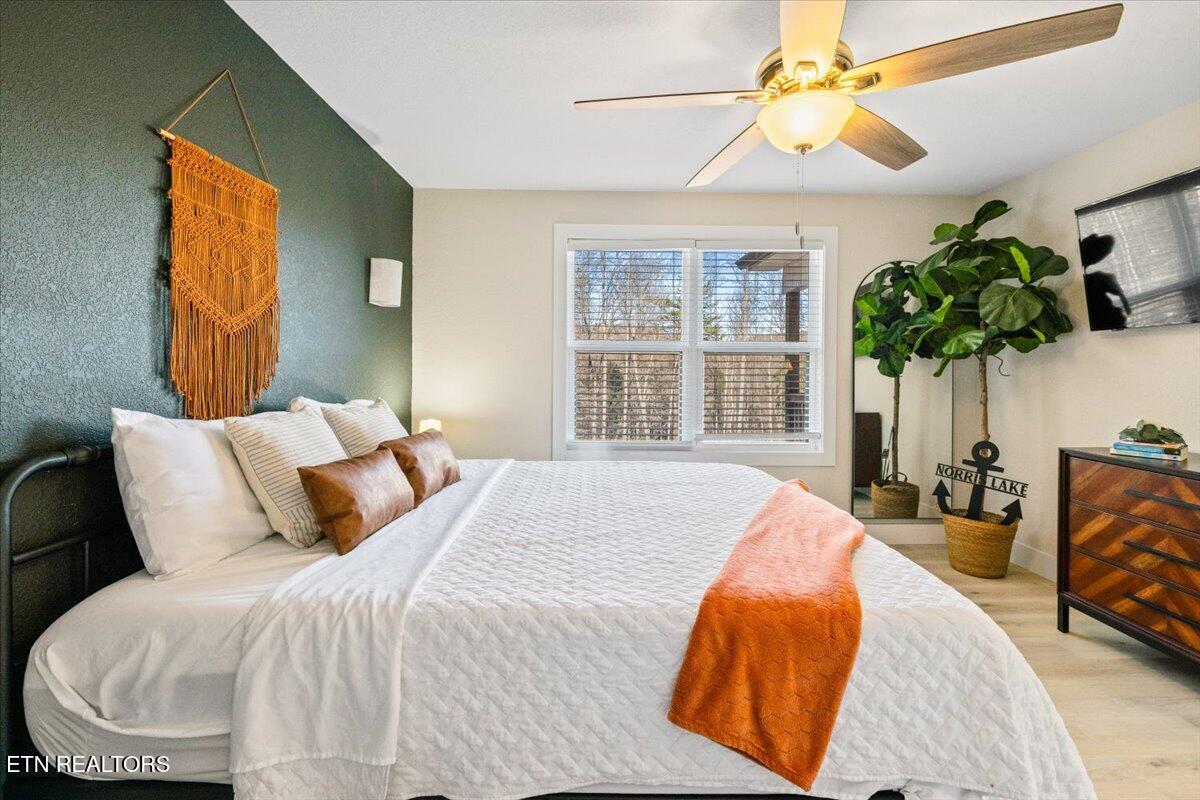 113 Pool Drive, LaFollette