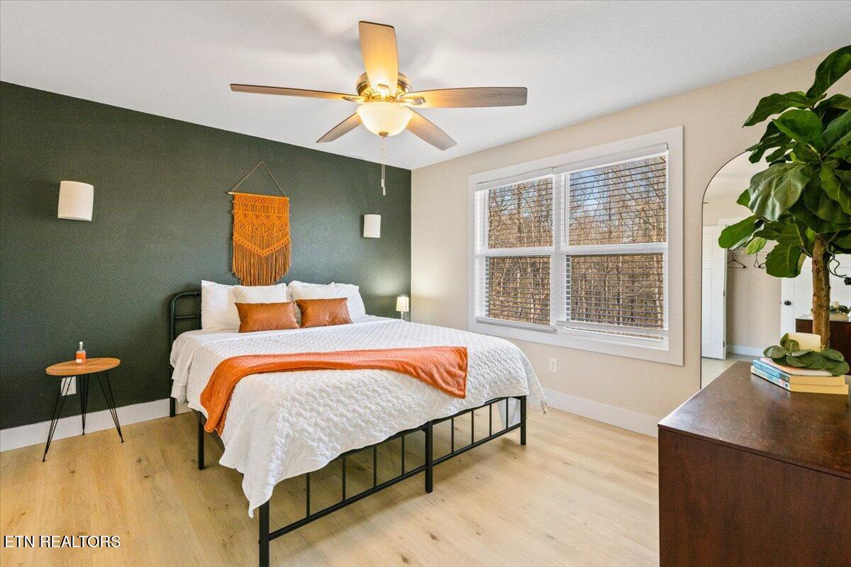 113 Pool Drive, LaFollette