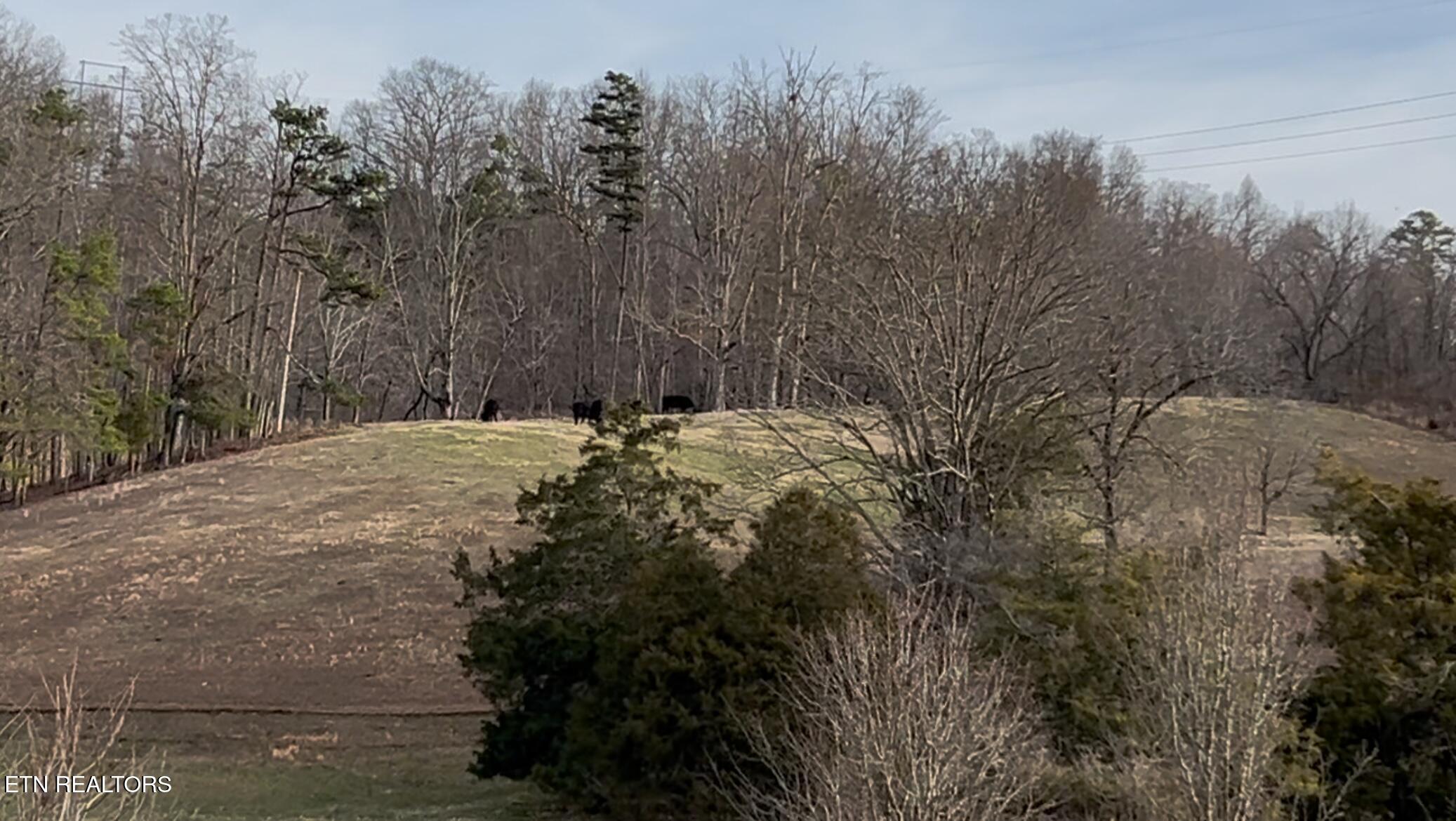 1939 Pleasant Ridge Rd, LaFollette