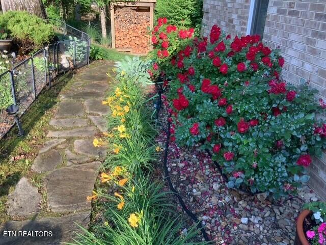 891 Yoakum Hollow Rd