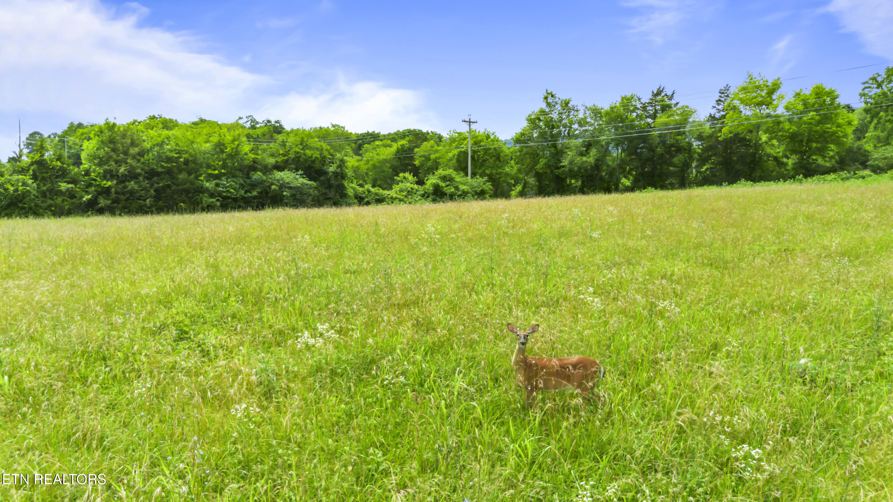 Old Middlesboro Hwy, LaFollette