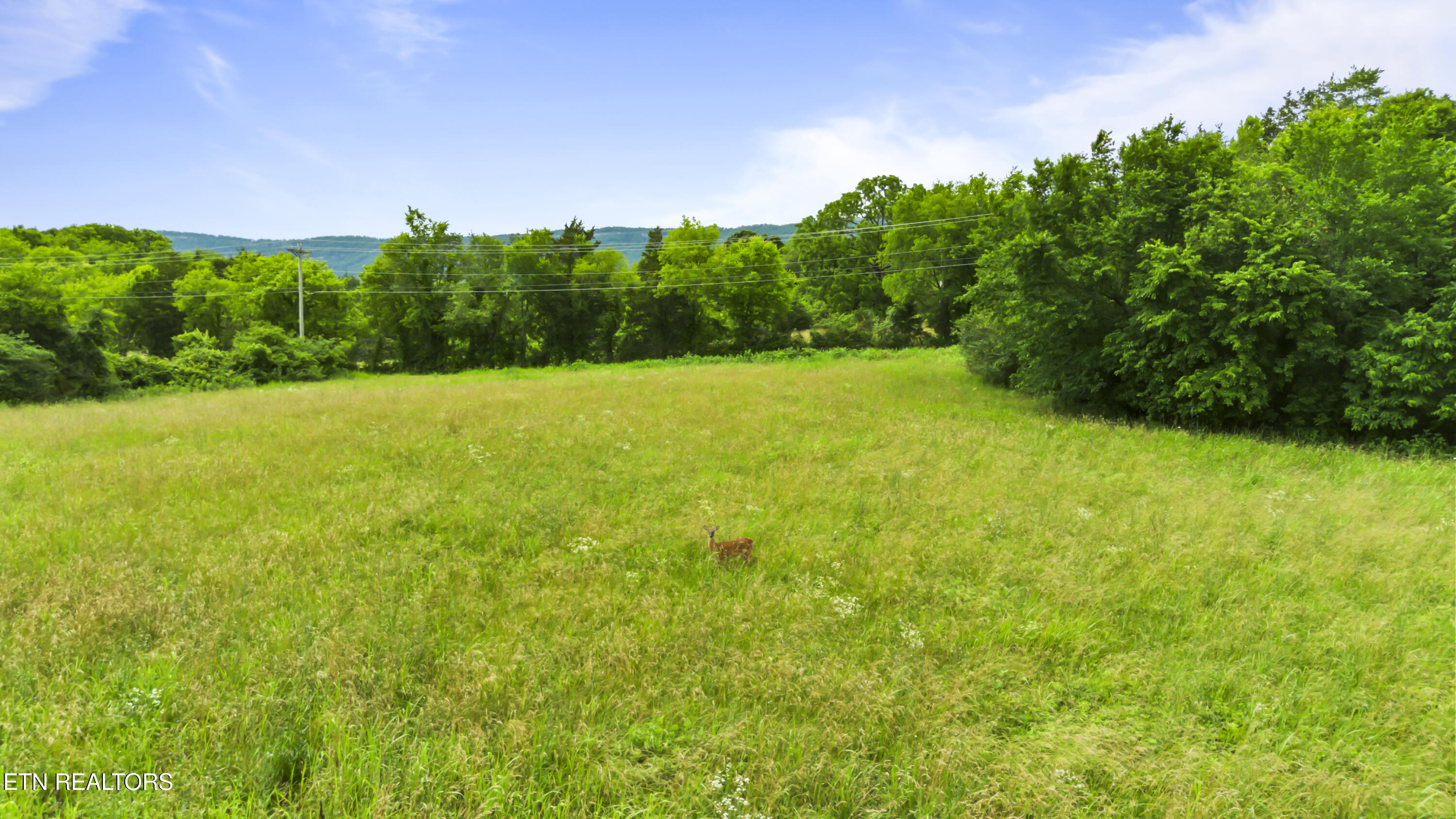 Old Middlesboro Hwy, LaFollette