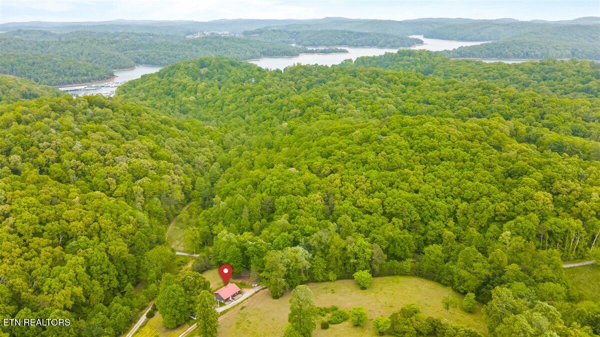 299 Tar Town Hollow Lane, LaFollette